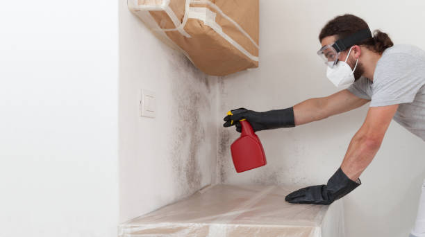 Professional Hvac And Air Duct Mold Remediation technician working in McBain, MI