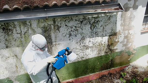 Top rated local Hvac And Air Duct Mold Remediation specialists in McBain, MI